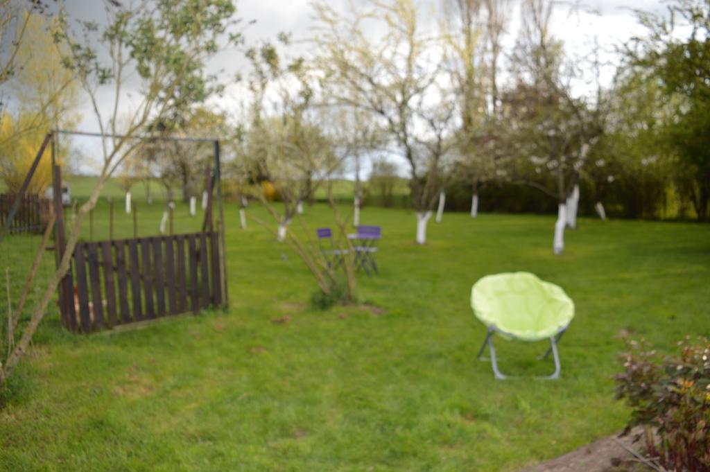 Au Passage Des Grues Bed & Breakfast Drosnay Dış mekan fotoğraf