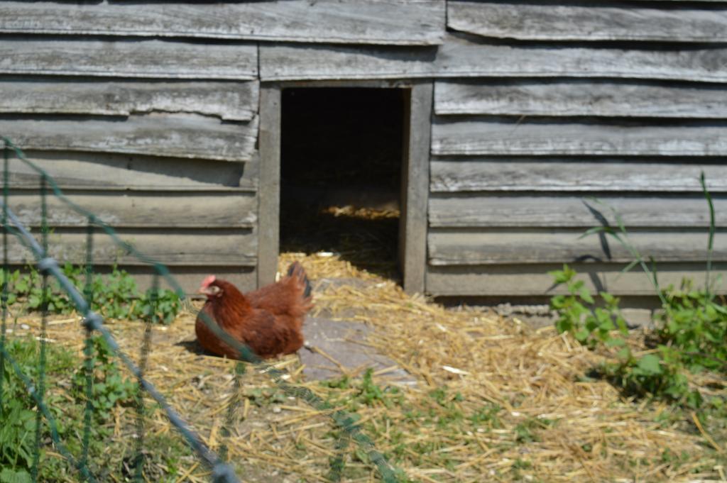Au Passage Des Grues Bed & Breakfast Drosnay Dış mekan fotoğraf